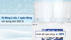 Tủ đông Hòa Phát HPF AD6352 (352 Lít)