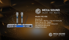 Combo hệ thống âm thanh MegaSound MS-VIP02