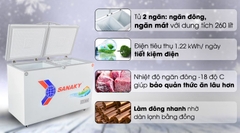 Tủ đông Sanaky VH-3699W1