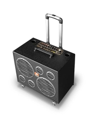 Loa kéo di động Redsound bass 2 tấc đôi P-208A