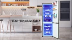 Tủ lạnh Casper Inverter 300 lít RB-320VT