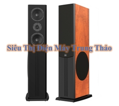 Dàn Nghe Nhạc Và Hát Karaoke Paramax 02 (Paramax D88 Limited, DKA 5500, SW512)