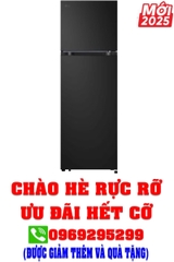 Tủ Lạnh LG Inverter 266 Lít LTB26BLM