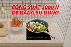 Bếp điện từ Lorca TA-1018 PLUS