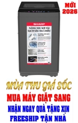 Máy giặt Sharp 11 kg ES-TN111EN-DG