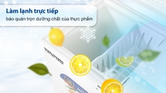 Tủ đông Hòa Phát 107 Lít HPF AD6107G