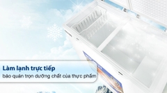 Tủ đông Hòa Phát HPF AD6352 (352 Lít)