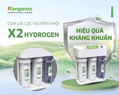 Máy lọc nước Kangaroo Hydrogen KGHP10K2