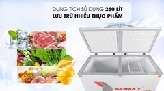 Tủ đông Sanaky VH-3699W1