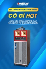 Loa di động Omaton P-7000K (1200W – 4 Tấc đôi - Loa điện)