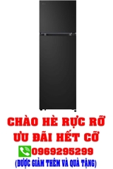 Tủ lạnh LG Inverter 315 lít LTB31BLM
