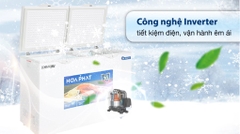 Tủ đông Hòa Phát inverter HPF BD8271 (271 Lít)