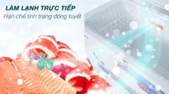 Tủ đông Alaska inverter BD 400CI (295 lít)