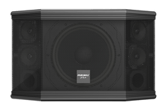 Loa dàn karaoke Paramax PRO-C10