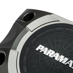 Loa dàn karaoke Paramax P-850