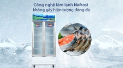 Tủ Mát Sanaky 700 Lít VH-8009HP
