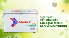 Tủ đông Sanaky VH-3699W1