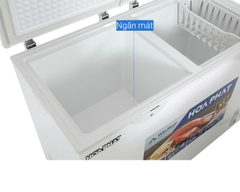 Tủ đông Hòa Phát HPF BD6271 (271 Lít)