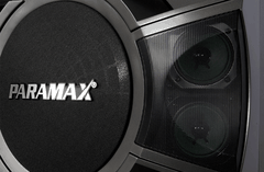 Loa Karaoke PARAMAX 10-inch P-1000
