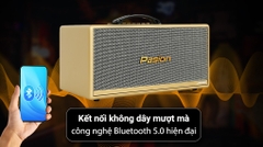 Loa karaoke xách tay PASION 2c