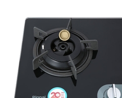 Bếp gas âm Rinnai RVB-220G(BG)