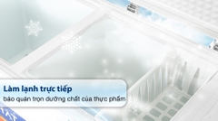 Tủ đông Hòa Phát inverter HPF BD8271 (271 Lít)
