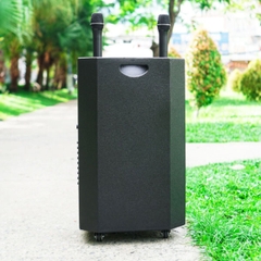 Loa Kéo Nanomax SK-1202 Bass 30cm