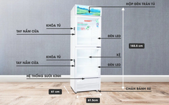 Tủ Mát Sanaky Inverter 290 Lít VH-358W3L