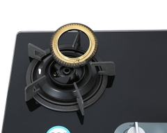 Bếp gas âm Rinnai RVB-220G(BG)