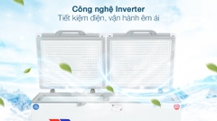 Tủ Đông Sanaky mặt kính cường lực  Inverter 260 LÍT VH-3699W4K