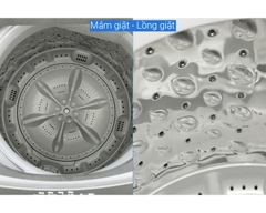Máy giặt Casper 7.5Kg WT-75NG1
