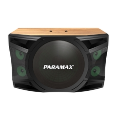 Loa Karaoke Paramax 12 inches P-2500