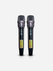 Loa gập di động (Bình AC QUI) Redsound Bass đôi 4 tấc gập R2411