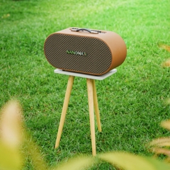 Loa Karaoke Xách Tay Nanomax K-05 Bass Đôi 20cm 320w