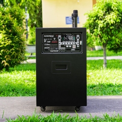 Loa Kéo Bình & Điện Nanomax Pro-215e Bass Đôi 40cm 2500w