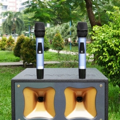 Loa Kéo Nanomax Bass Đôi 40cm 1800w Pro-803C