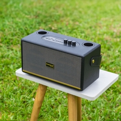Loa xách tay Nanomax K-06 (Bass đôi 10cm - 60W)