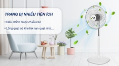 Quạt đứng ASIAvina VY449690-55W