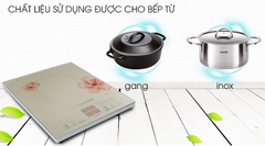 Bếp điện từ Kangaroo KG418i