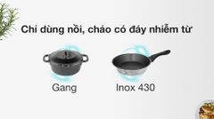 Bếp điện từ đôi Kangaroo KG498N