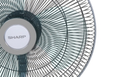 Quạt đứng Sharp PJ-L40RV-LG 50W (Có remote)
