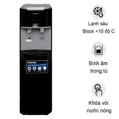 Máy nước nóng lạnh Toshiba RWF-W1669BV(K1)
