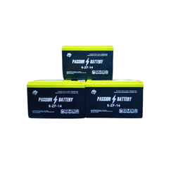 Bình Ắc Quy Xe Đạp Điện M133 PASSION