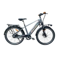 Xe Đạp Trợ Lực Strong New