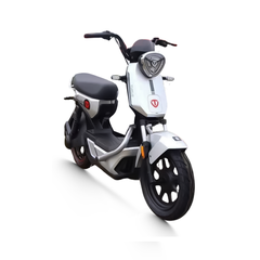 Xe Đạp Điện TAILG GX30