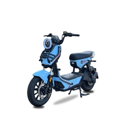 Xe Máy Điện Tailg X51