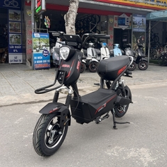 Xe Đạp Điện Arena X Bull Sporst