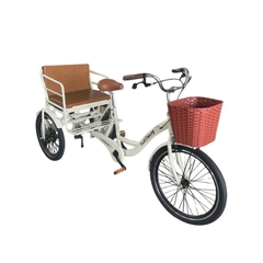 Xe đạp 3 bánh Sallway cho người già