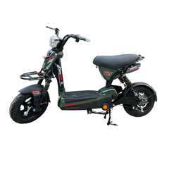 Xe Đạp Điện 133M Gians
