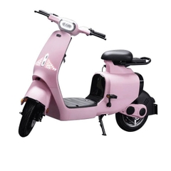 Xe Đạp Điện DK S1